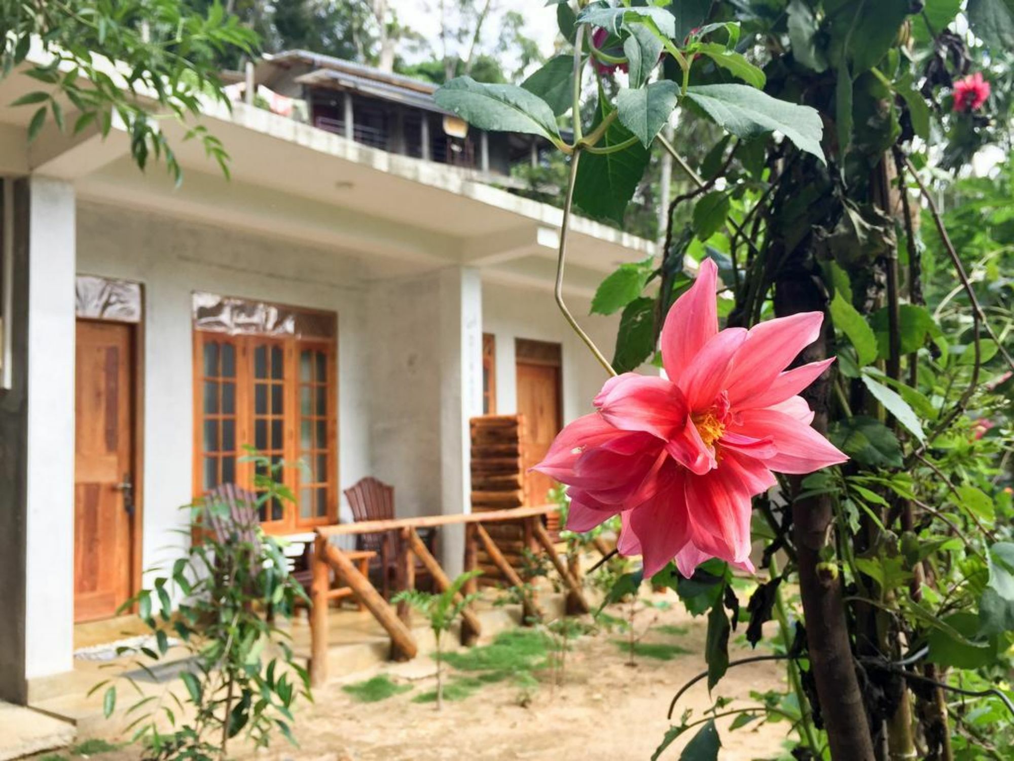 Dinaro Guest Hotel Ella Exterior photo